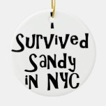 I Survived Sandy in NYC.png Christmas Ornaments
