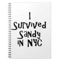 I Survived Sandy in NYC.png Journal