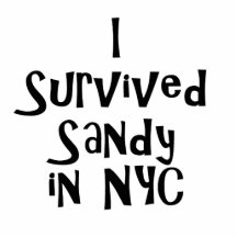 I Survived Sandy in NYC.png Photo Sculpture