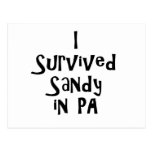 I Survived Sandy in PA.png Postcards
