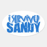i survived SANDY Stickers
