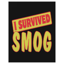 I SURVIVED SMOG FLYER