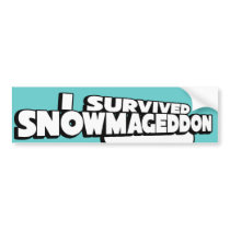 I survived Snowmageddon Bumper Sticker