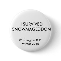 I SURVIVED SNOWMAGEDDON, Washington D.C.Winter ... Pin