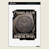 I SURVIVED The 2012 Apocalypse skins