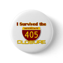 I Survived the 405 Closure Pins