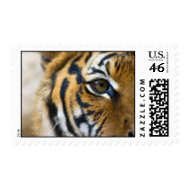 I Survived the 80s! Stamp