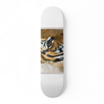 I Survived the 80s Skateboard