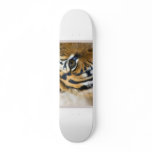 I Survived the 80s Skateboard