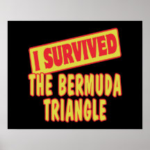 I SURVIVED THE BERMUDA TRIANGLE POSTER