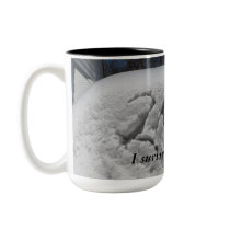 I survived the blizzard! mugs