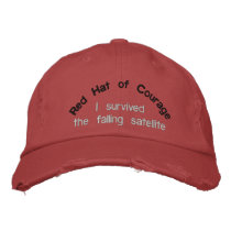 I survived the falling satellite embroidered hats