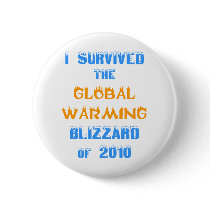 I Survived the Global Warming Blizzard of 2010 Buttons