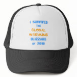 I Survived the Global Warming Blizzard of 2010 hats