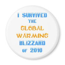 I Survived the Global Warming Blizzard of 2010 Fridge Magnets