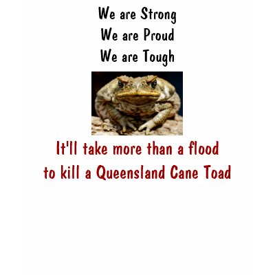 Map Of Floods In Queensland. house Tue 11 2011 | QLD Floods