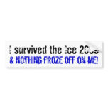I survived the Ice 2009... Bumper Sticker