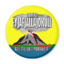 I Survived The Iceland Volcano magnets