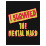 I SURVIVED THE MENTAL WARD FULL COLOR FLYER