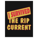 I SURVIVED THE RIP CURRENT flyers