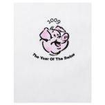 I Survived  The Swine Flu 2009 Personalized Flyer