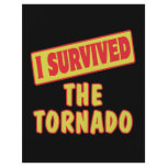 I SURVIVED THE TORNADO flyers
