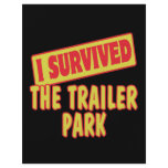 I SURVIVED THE TRAILER PARK flyers