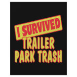 I SURVIVED TRAILER PARK TRASH flyers