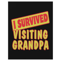 I SURVIVED VISITING GRANDPA FLYER