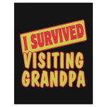 I SURVIVED VISITING GRANDPA FLYER