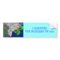 I SURVIVEDTHE BLIZZARD OF 2011 BUMPER STICKER