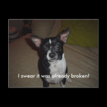 I swear it was already broken! - Customized postcards