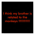 I think my brother is related to the monkeys !!... posters