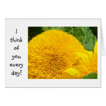 I think of you every day! Cards Thinking of You
