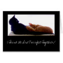 I Think We Are Purrfect Together! cards