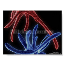 i think you saved me posters