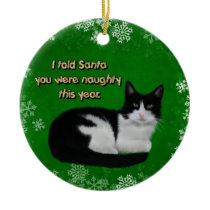 I Told Santa...Cat Artwork Christmas Ornament
