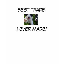 I traded my boyfriend for a Border Collie t-shirts