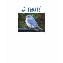 I twit! bluebird shirt
