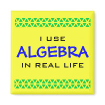 I USE ALGEBRA IN REAL LIFE magnets by yencathy I USE ALGEBRA IN REAL LIFE magnets