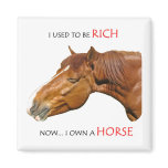 I used to be rich refrigerator magnet
