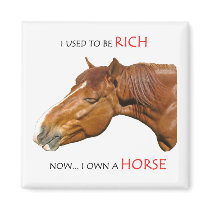 I used to be rich magnets by Leenashorses I used to be rich magnets