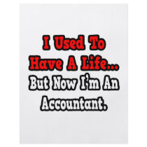 I Used to Have a Life...Accountant Custom Flyer