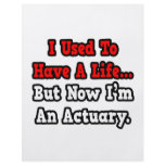 I Used to Have a Life...Actuary Custom Flyer