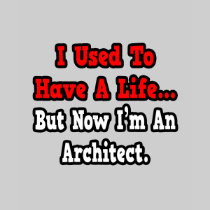 I Used to Have a Life...Architect T Shirt