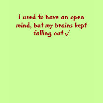 I used to have an open mind, but my brains kept... t-shirts
