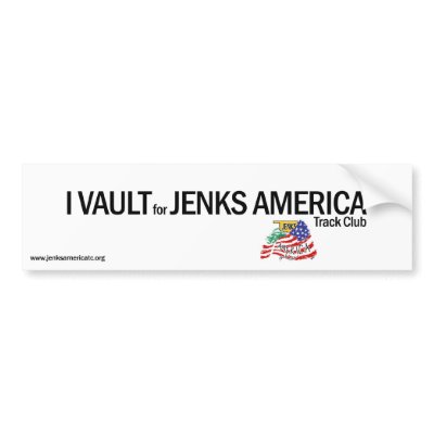 I VAULT Bumper Sticker by bchurch99