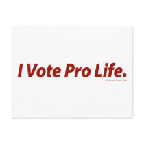 I Vote Pro Life postcards