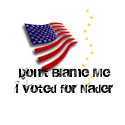 I voted for Nader Pin button