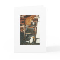 I wanna be YOU when I grow up! Cards